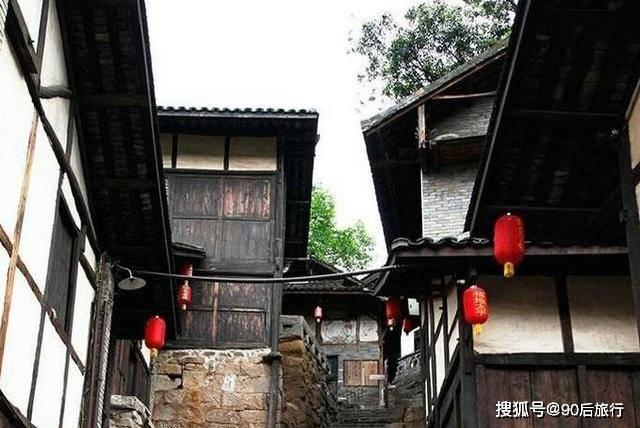 茂密丛林逃生
